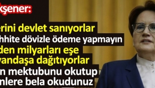 İYİ PARTİ GENEL BAŞKANI MERAL AKŞENERDEN ÖNEMLİ AÇIKLAMALAR !