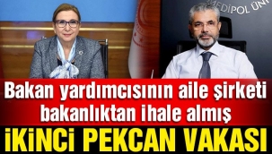 AK Partide Yeni Pekcan vakası