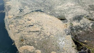 Marmaradaki deniz salyası Karadenize sıçradı!