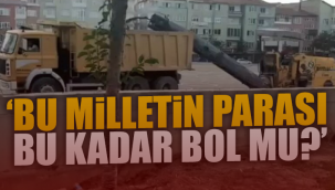 Ağaçları katleden AKPli belediyeden 11 milyonluk ihale!