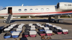 Eski AKP Milletvekili Adayı'nın şirketine ait jette kokain dolu valizler ele geçirildi!