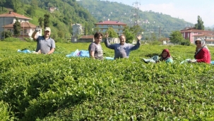 Karadeniz'de durum vahim: Vakalar yüzde 400 arttı