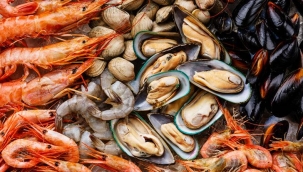 Midye, karides, kalamar yemek haram mı? Diyanetten dikkat çeken fetva