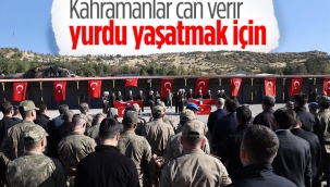 Pençe-Kilit bölgesinden acı bir haber daha! Şehit sayısı 2ye yükseldi