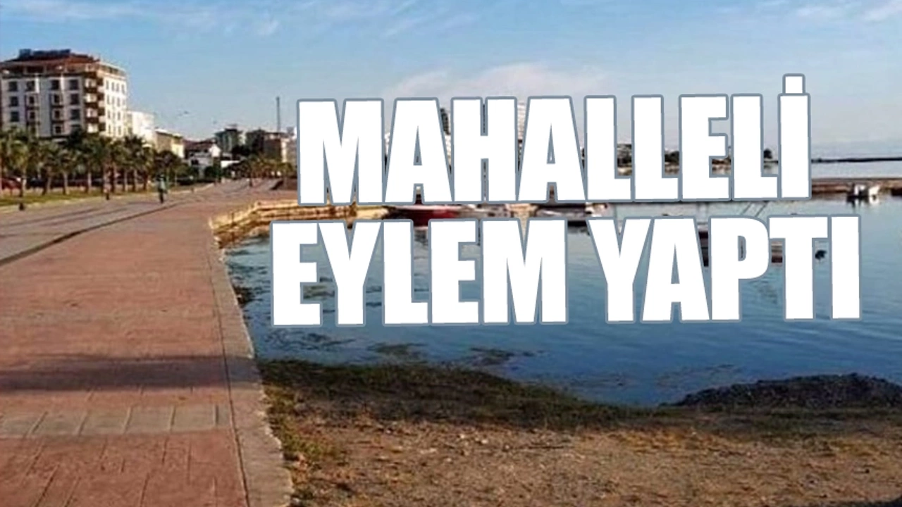 AKP'li belediye mahkemeyi takmadı, muhtar Erdoğan'a mektup yazdı