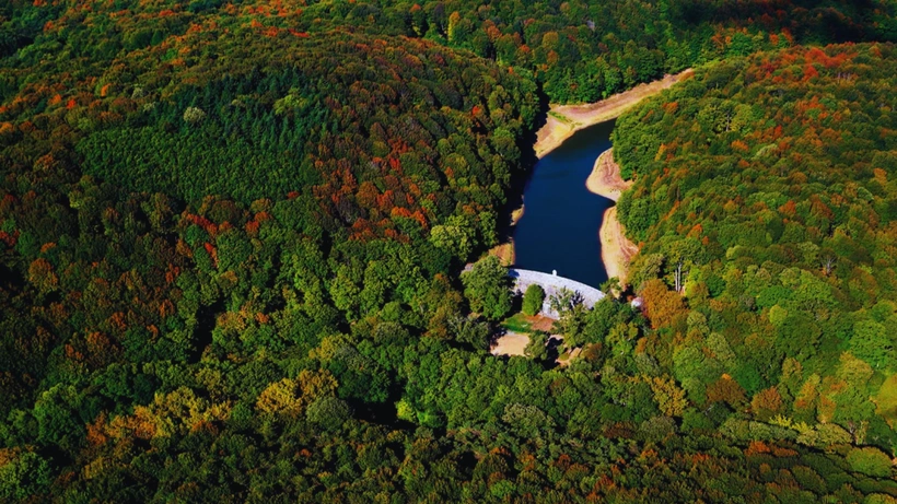 'Belgrad Ormanı, İBB'den Bakanlığa Geçecek' İddiası: İstanbul Nefes Borusunu Kaybedecek