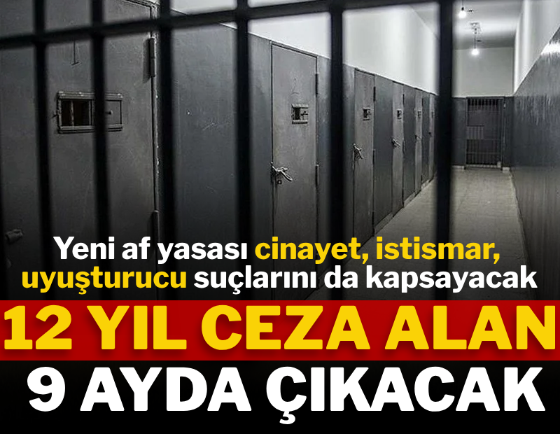 Meclis'e gelecek af düzenlemesinin detayları belli oldu: 12 yıl ceza alan 9 ayda çıkacak