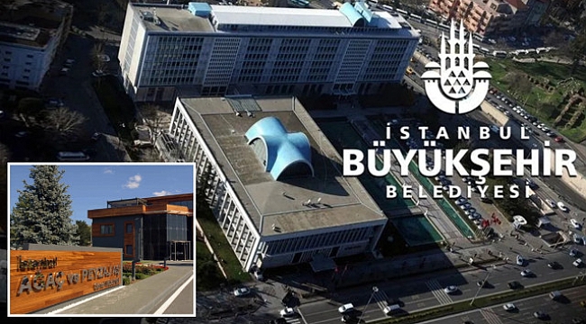 İBB'ye bağlı Ağaç A.Ş.'de yolsuzluk itirafı: Para verdim ödemelerimi aldım